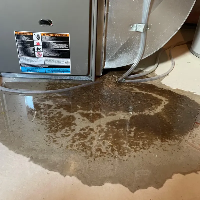 Appliance Leak Cleanup in Rockdale County, GA